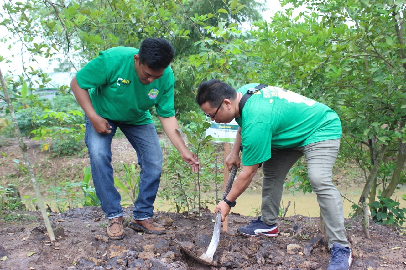 Adira Gagas Program Sayang Bumiku, Tanam Ribuan Pohon di Berbagai Daerah