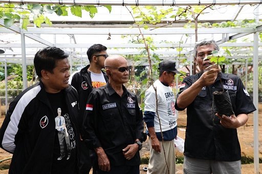 Ganjartivity Gelar Diskusi Memaksimalkan Budidaya Anggur