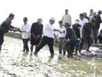 Mentan Amran: Petani Bisa Tebus Pupuk Subsidi Pakai KTP