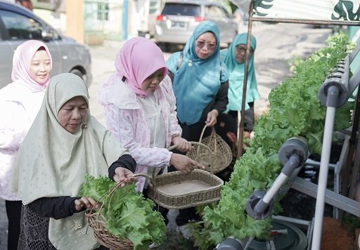 Program BRInita Sulap Lahan Sempit Jadi Urban Farming yang Produktif