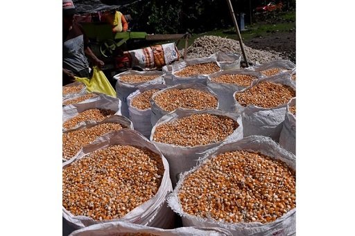 Cerita dari Desa Daenaa Gorontalo yang Sukses Tingkatkan Inklusi Keuangan Lewat AgenBRILink dan BRImo