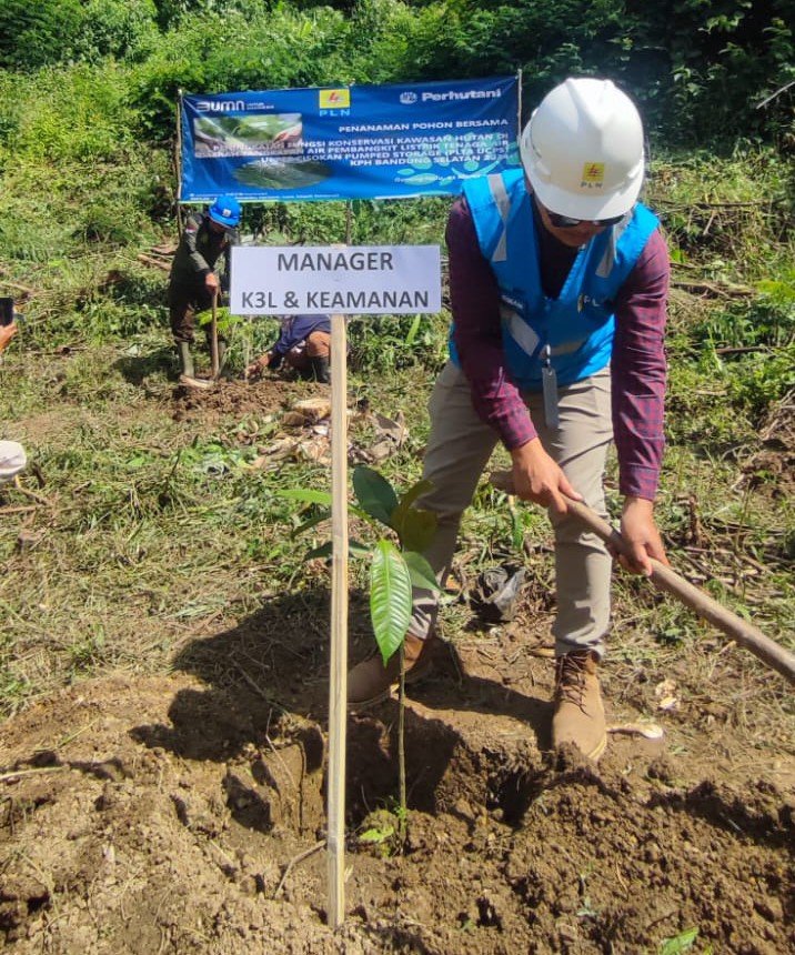 Hijaukan Hutan di Proyek PLTA Upper Cisokan, PLN tanam pohon bersama Perhutani dan Masyarakat