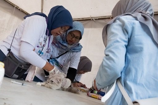 Ratusan Kucing Ikut Vaksinasi Rabies dan Sterilisasi di Balai Kota Bandung