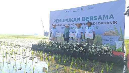 Penggunaan Phonska Alam Memudahkan Petani Hasilkan Pangan Organik