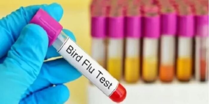 Flu Burung Merebak, Kemenkes Waspada, Awasi Peternak dan Pelaku Perjalanan Luar Negeri