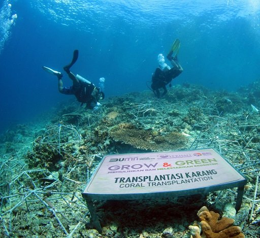Maknai Hari Lingkungan Hidup Sedunia, BRI Pulihkan Ekosistem dan Lawan Perubahan Iklim Melalui Program BRI Menanam – Grow & Green