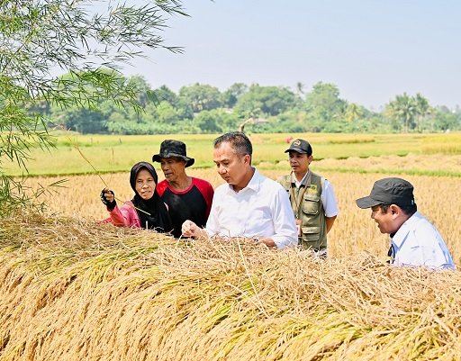 Ada Ancaman Kemarau Panjang, Bey Serap Aspirasi Petani Bogor