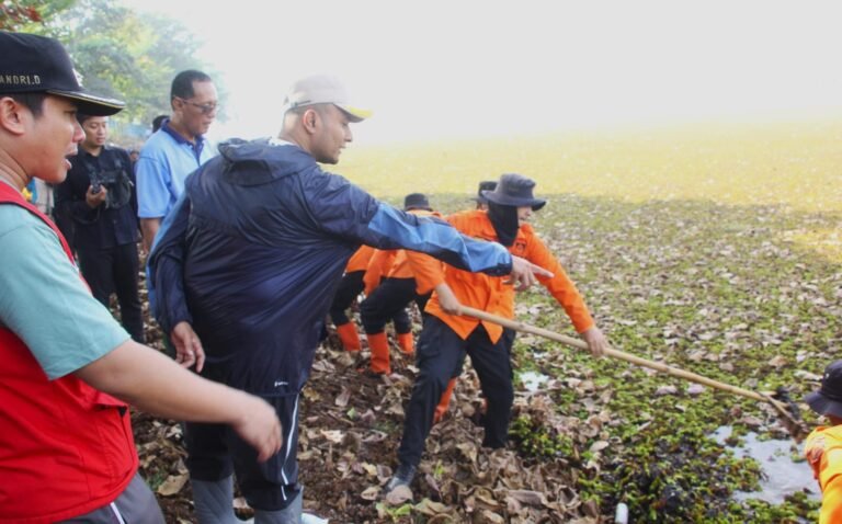 Libatkan 600 Personil, BPBD Subang Angkut Kiyambang dari Situ Citapen Purwadadi