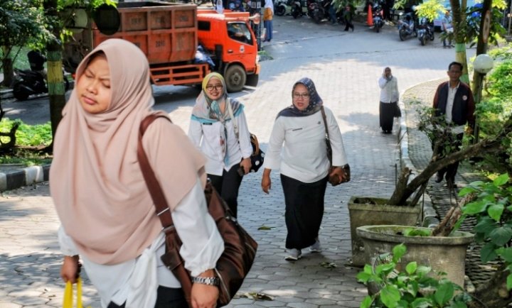 Simak Data Rekap Sementara Pendaftaran CPNS 2024