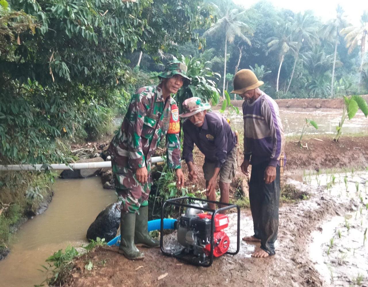 DKPP Bandung Barat Tingkatkan Indeks Pertanaman Sawah Tadah Hujan Lewat Pompanisasi