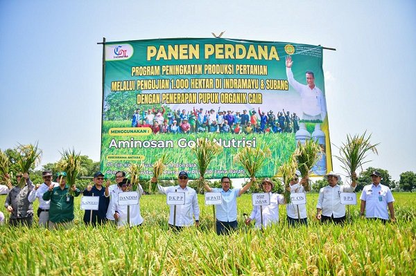 Indramayu Jadi Percontohan Nasional Pengembangan Pertanian Organik