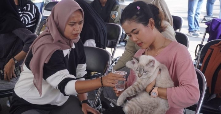 Peringati World Rabies Day, Pemkab Subang Siapkan 1.000 Vaksin Gratis, Ini Keseruannya