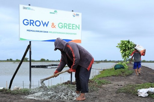 Berbagai Program BRI untuk Mendukung Net Zero Emission di 2050