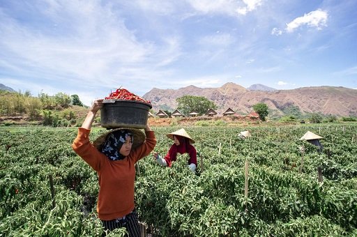 Kredit kepada Sektor Berkelanjutan Capai Rp793,6 Triliun, Portofolio BRI Selaras dengan Standar ESG Internasional