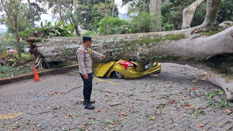 Mobil Rusak Tertimpa Pohon di Farmhouse Lembang Diganti