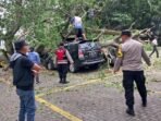 Sejumlah Kendaraan Tertimpa Pohon Tumbang di Farmhouse Lembang, Intania: Semua Segera Ditangani dan Tidak ada Korban