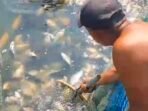 Belasan Ton Ikan di KJA Bandung Barat Mati Massal