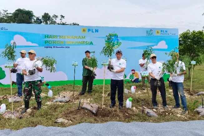 Peringati Hari Menanam Pohon Nasional, PLN Indonesia Power Tanam Ribuan Pohon