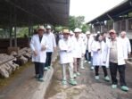 Diiniasi OJK, Ekosistem Pembiayaan Peternak Domba Mulai Menuai Hasil