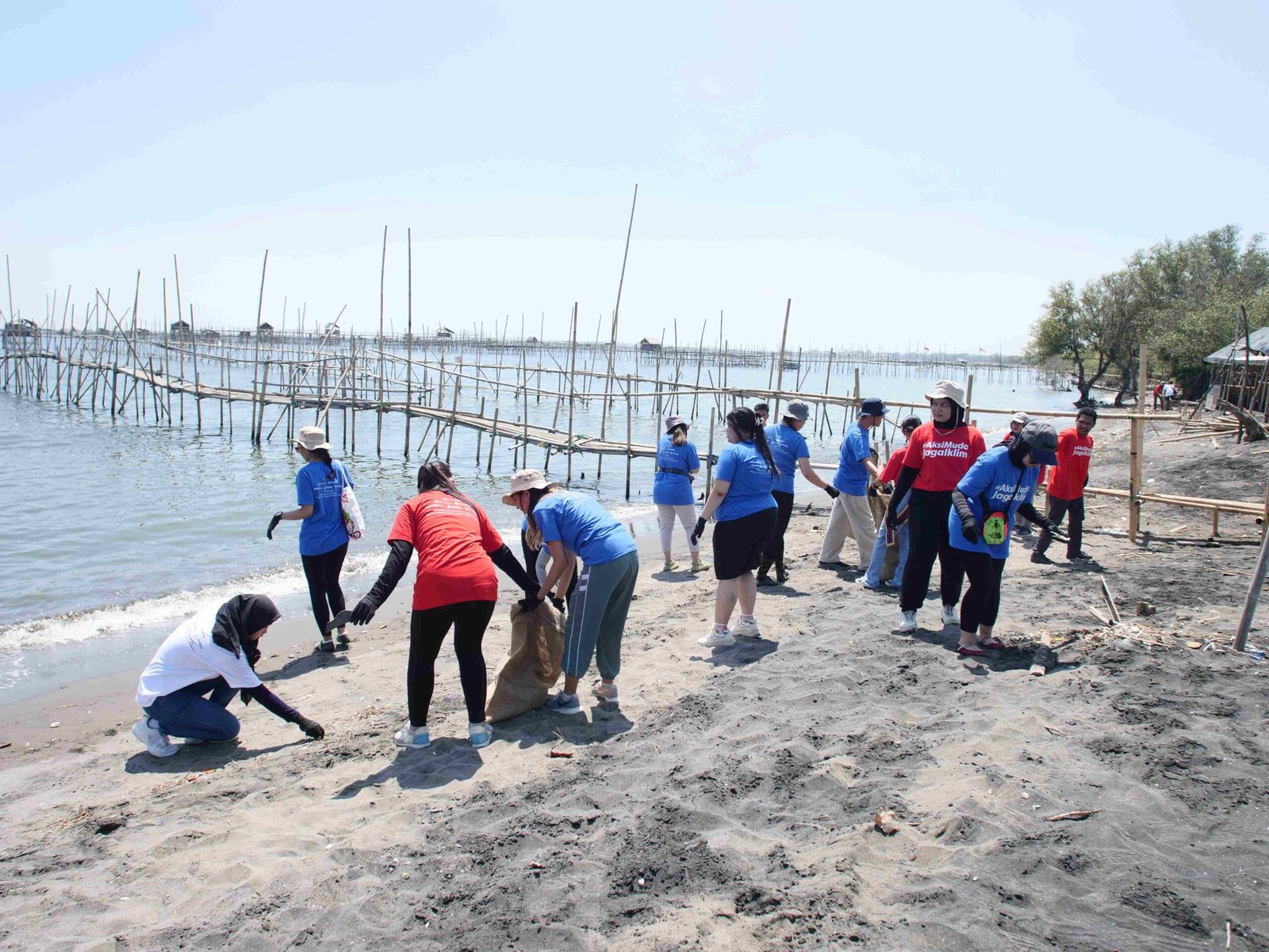 Lawan Krisis Iklim, J Trust Bank Tanam 3.000 Mangrove 