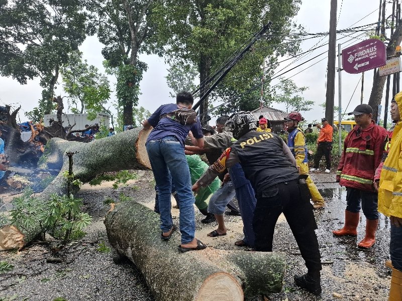 Pohon Tumbang dan Longsor Terjang Kecamatan Cikalongwetan Bandung Barat