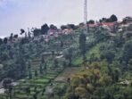 Dugaan Alih Fungsi Lahan di Kawasan Bandung Utara Dago Giri, Bandung Barat