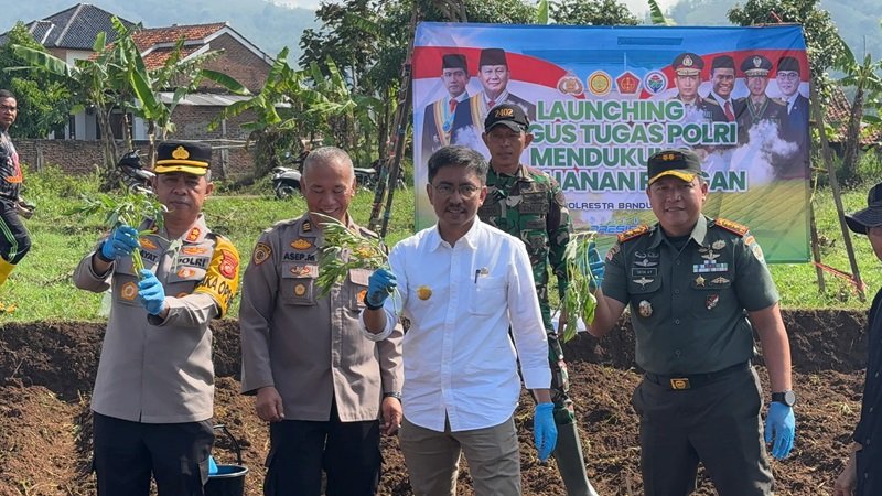 Gugus Tugas Ketahanan Pangan Optimalkan Lahan Tidur