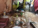 Waspada Banjir Besar Dampak Siklus 5 Tahunan dan La Nina