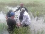 Warga Ciburuy Bandung Barat Digegerkan Babi Hutan Liar Masuk Pemukiman