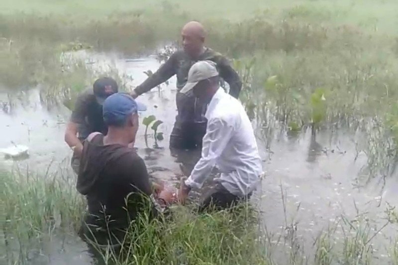Warga Ciburuy Bandung Barat Digegerkan Babi Hutan Liar Masuk Pemukiman