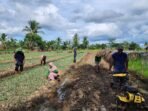 Kisah Petani di Merauke yang Produktivitasnya Semakin Meningkat Berkat Program Pemberdayaan Klaster Usaha dari BRI