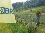 Ini 5 Komitmen Nyata BRI Dorong Peningkatan Kualitas dan Daya Saing UMKM