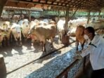 Dispernakan KBB Pastikan Stok Daging Ayam dan Sapi Aman Jelang Lebaran