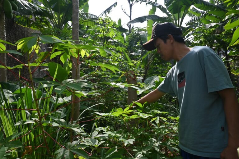 Manfaatkan Lahan Tak Khawatir Harga Bahan Pokok Melonjak