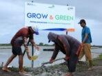 BRI Menanam – Grow & Green, Upaya Nyata BRI Bantu Pulihkan Ekosistem Lingkungan dan Dorong Pemberdayaan Ekonomi Masyarakat