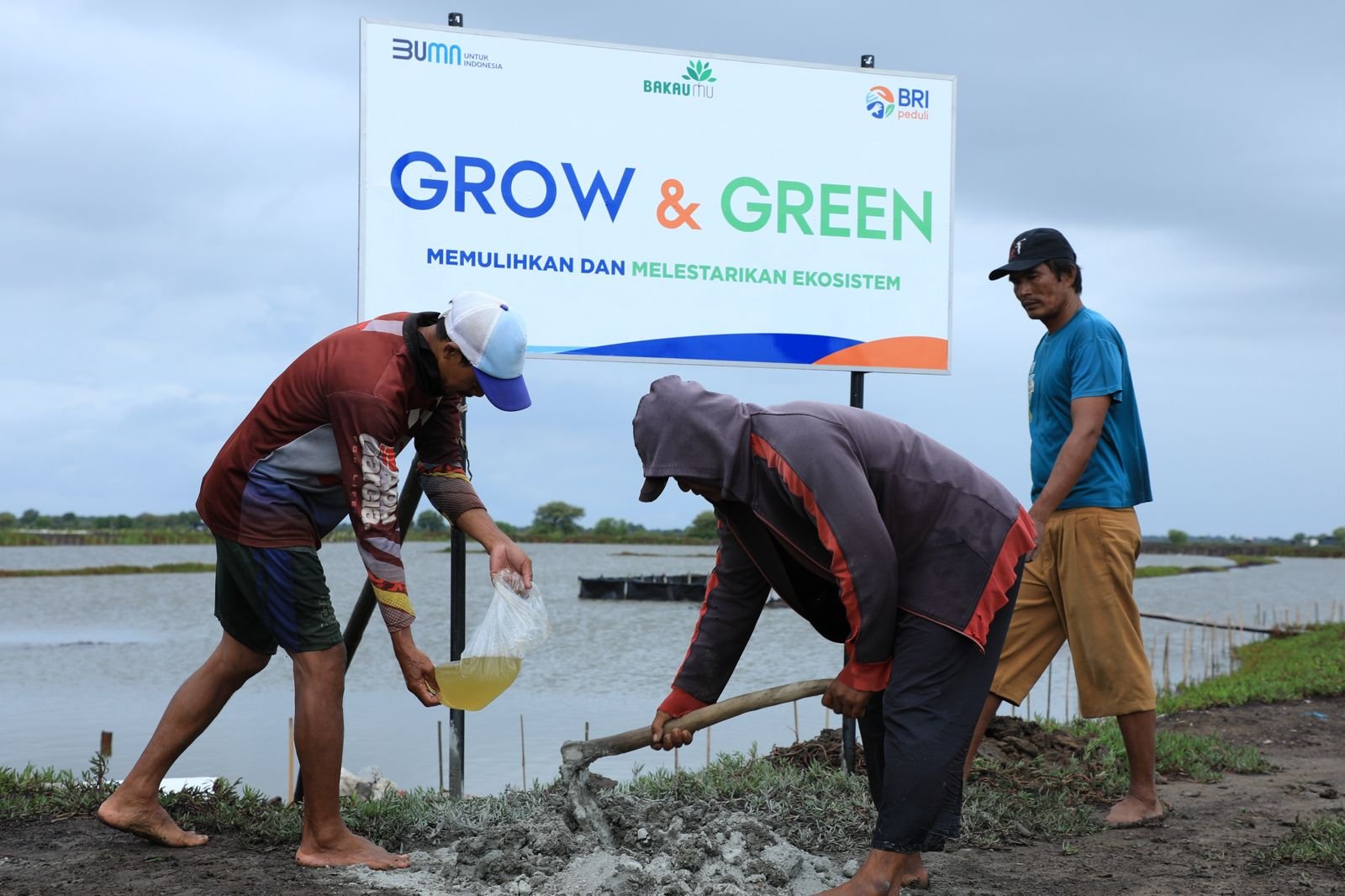 BRI Menanam – Grow & Green, Upaya Nyata BRI Bantu Pulihkan Ekosistem Lingkungan dan Dorong Pemberdayaan Ekonomi Masyarakat