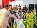 Gerakan 1 Juta Hektare Jagung Sinergi Polri dan Kementerian Pertanian Wujudkan Swasembada Pangan 2025