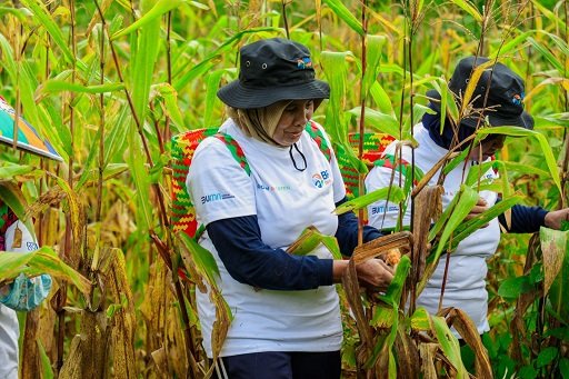 Program BRI Menanam – Grow & Green di Tanjung Prepat Berau Berhasil Serap Karbon 2.987 CO2e (Kg) per tahun dan Dorong Ekonomi Masyarakat