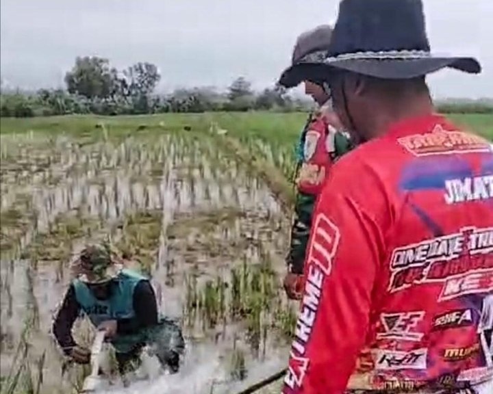 TNI dan Polri Kompak Bantu Petani Basmi Hama Tikus, Ini Aksi Mereka