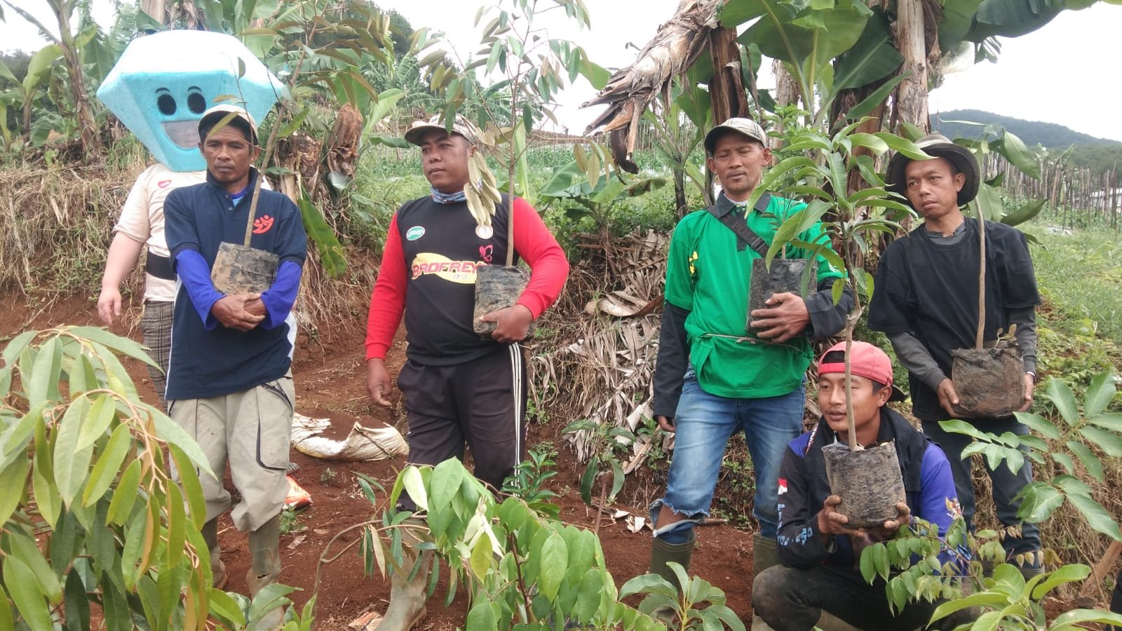 Aksi Tanam Pembagian 3000 Bibit Buah Perbaiki Lahan Kritis
