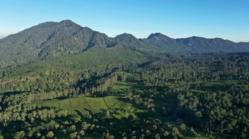 Dokumen Perizinan Eiger Camp Lengkap, KDB Hanya 2 Persen dari Total Lahan yang Dikelola
