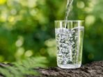 Air Distilasi Lebih Aman dan Optimal untuk Kesehatan Ginjal