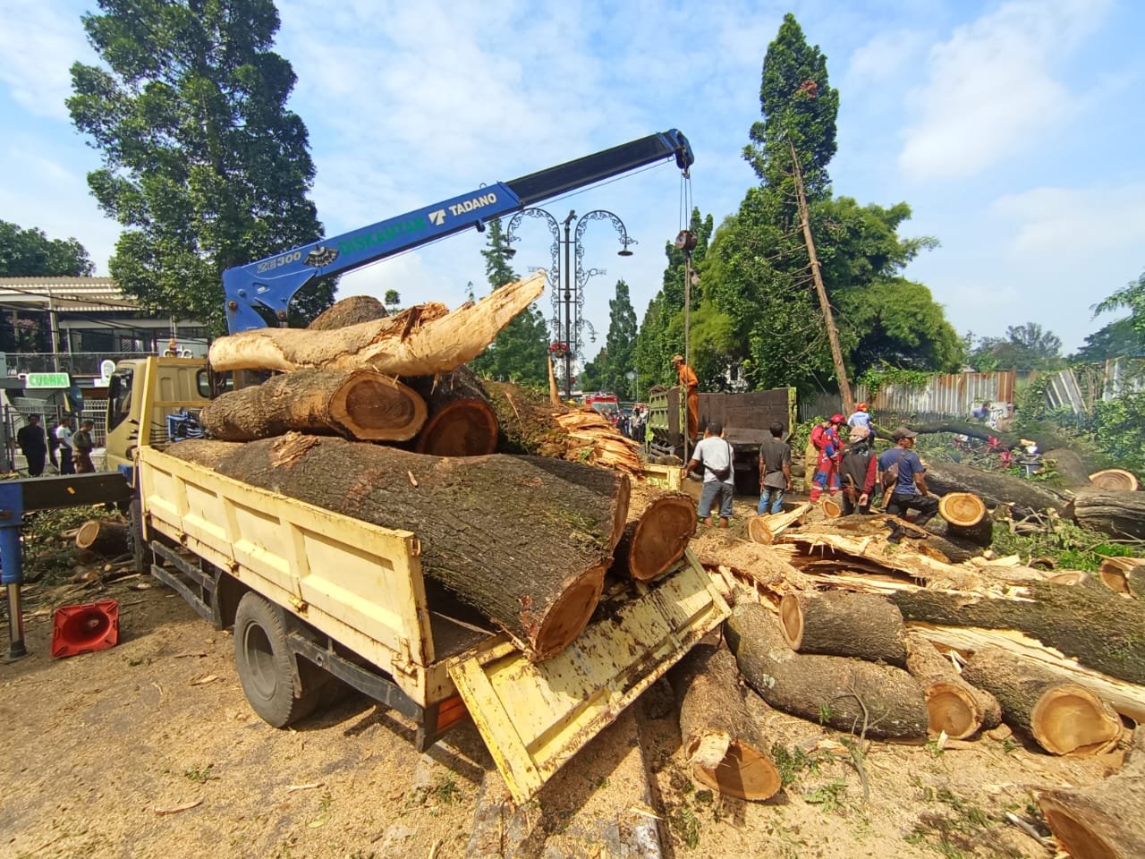 Pohon Raksasa Tumbang di Dago, Tiga Orang Terluka