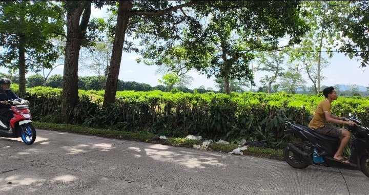 Ceceran Sampah di Bahu Jalan Timbulkan Bau, DLH Subang Diminta Turun Tangan
