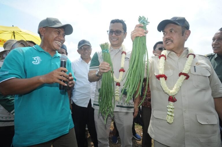 Swasembada Pangan Prioritas Pembangunan Nasional