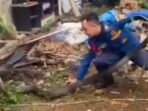 Damkar Bandung Barat Evakuasi Ular King Cobra Berukuran Jumbo
