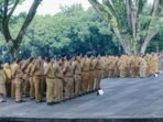 Berita Terkait