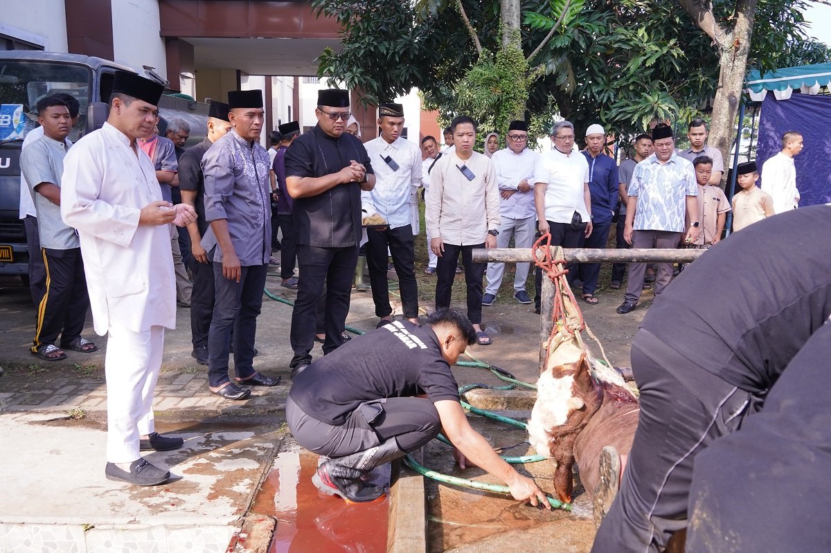 Polda Jabar Sumbangkan 77 Ekor Sapi dan 35 Ekor Kambing untuk Qurban