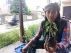 Pohon Tarum Jadi Alternatif Pewarna Alami Ramah Lingkungan