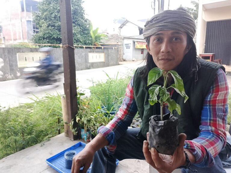 Pohon Tarum Jadi Alternatif Pewarna Alami Ramah Lingkungan